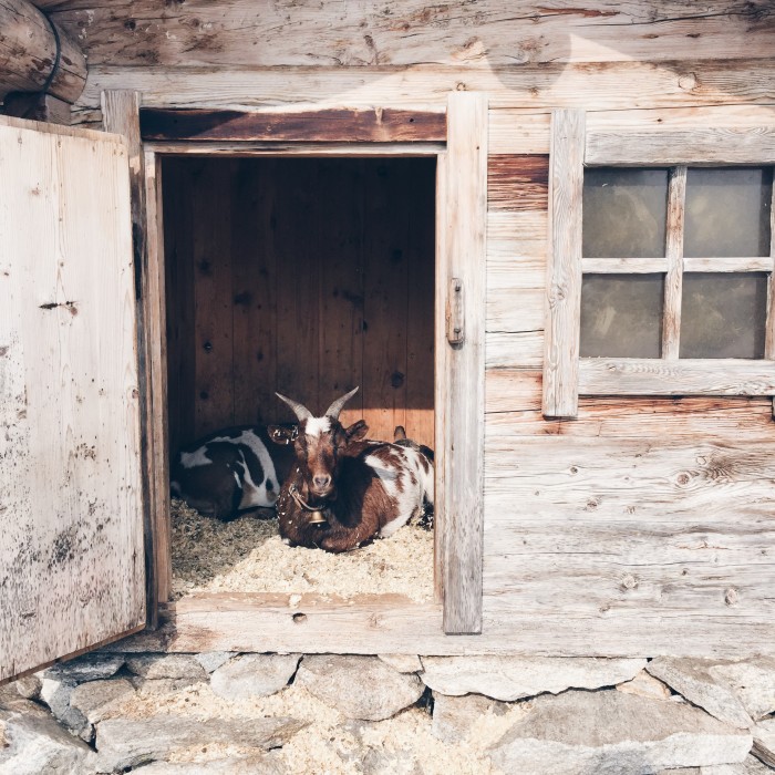 Processed with VSCOcam with hb1 preset