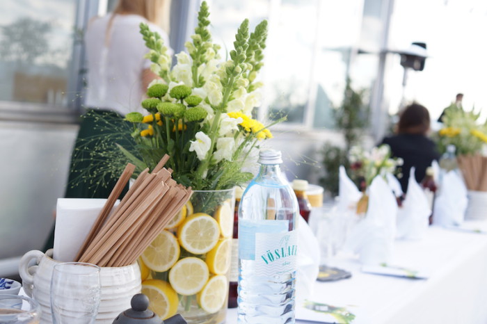 RauchJuiceBar_Event_Mochi_Vegainsta_Sophiehearts1