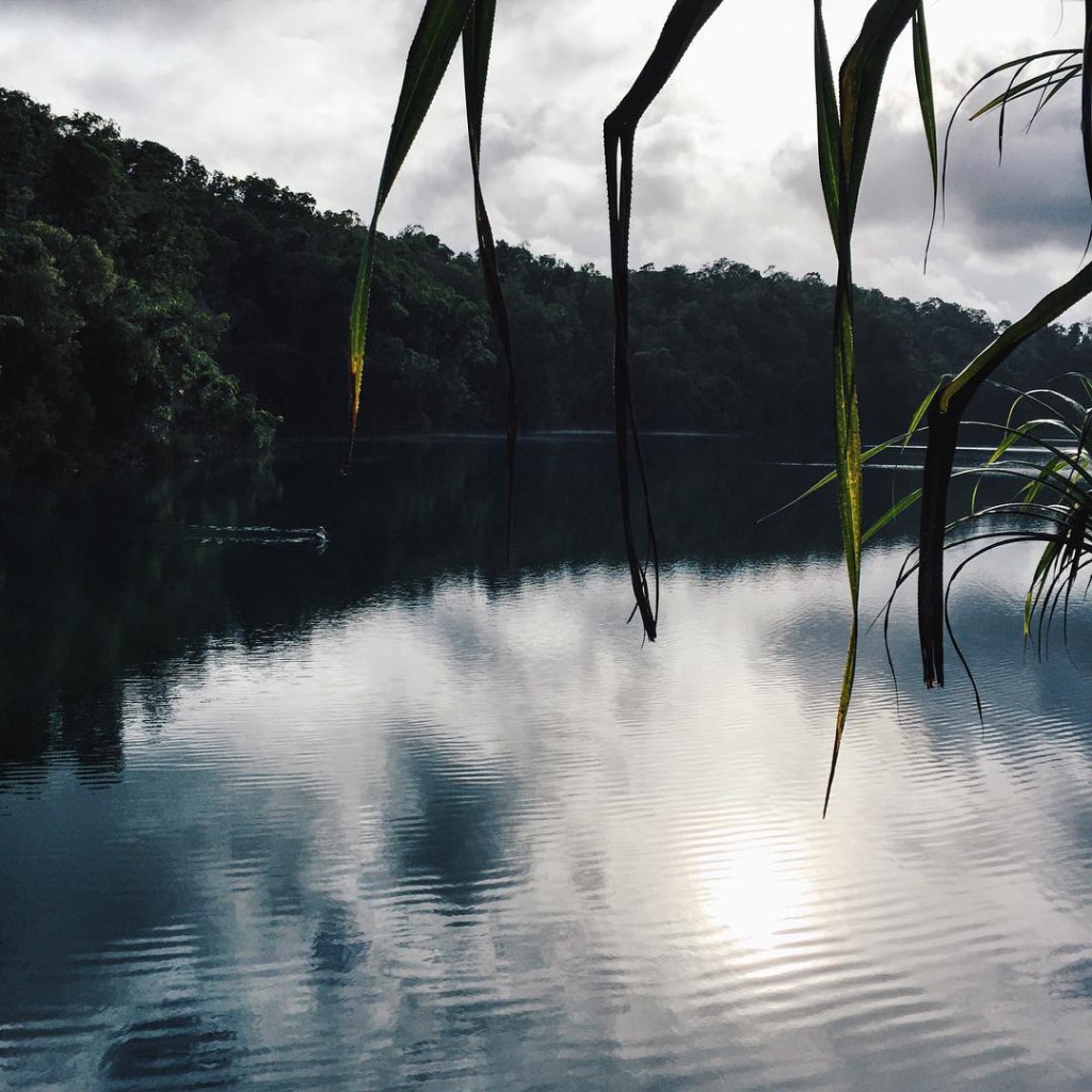 rainforest I loved it so much wart ihr auch schon mal dort? #goodmorning #traveling #travel #travelblogger #travelphotography #instapassport #clouds #sky #skylove #view #rainforest #nature #sun #happy #beautiful #austrianblogger #inspiration #germanblogger #morning #lblogger #picoftheday #lovedailydose #yourdailytreat #vscogood #vsco #vscocam #green #reflection #sophiehearts