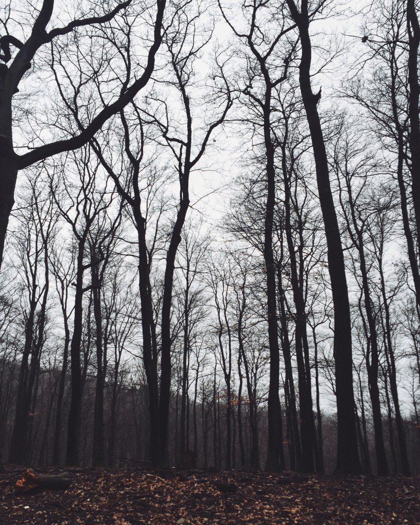 Processed with VSCOcam with a9 preset