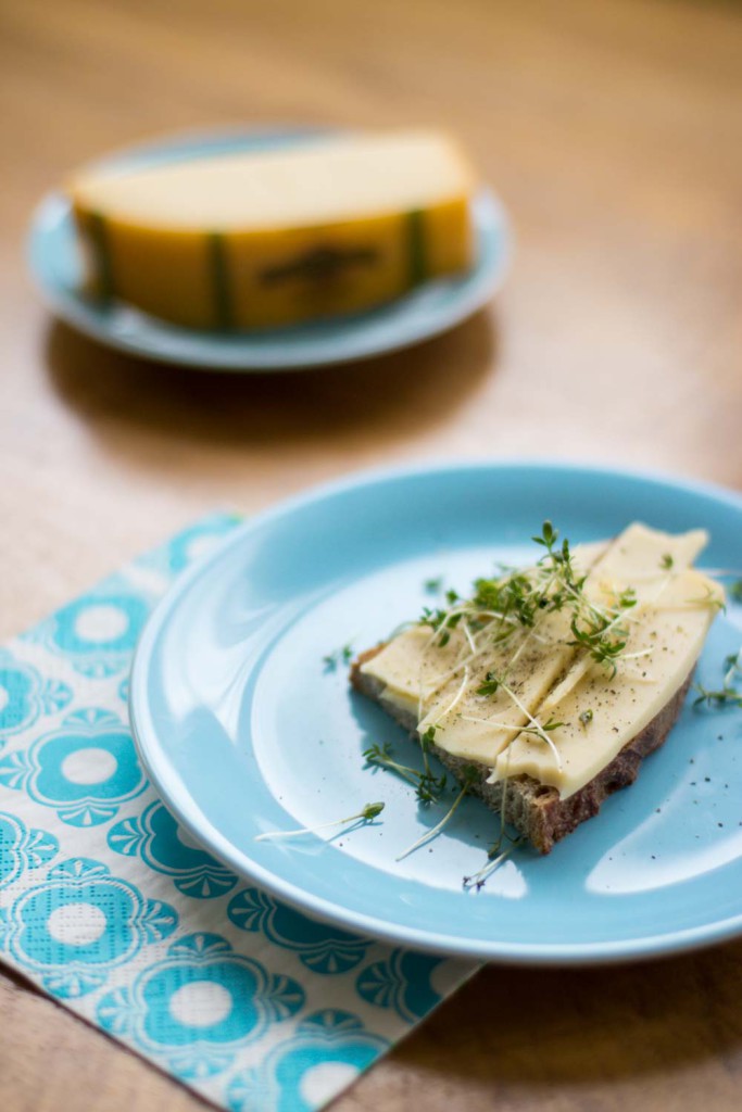 wirkaesebroten-kaesebrot-leerdammer-brot-brotzeit-food-essen-foodblog-fashionblog-wien-sophiehearts (11 von 11)