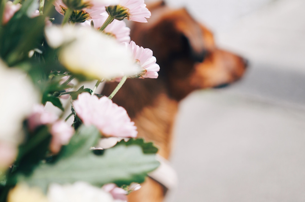 Processed with VSCO with e3 preset